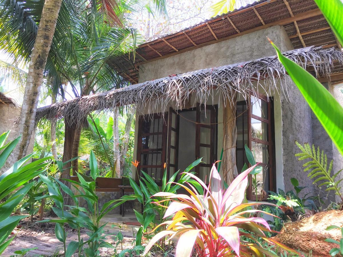 Dreamtime Sri Lanka Hotel Hikkaduwa Exterior photo
